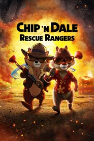 chip n dale rescue rangers 10483 poster
