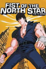 fist of the north star 11175 poster