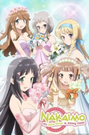 nakaimo my little sister is among them 11720 poster