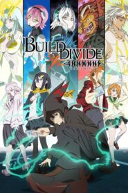 build divide 13290 poster