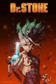 dr stone 18367 poster