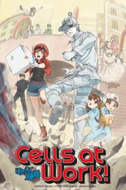 cells at work 23120 poster