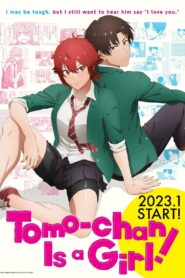 tomo chan is a girl 25707 poster